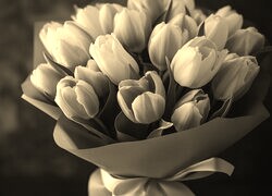 Szary + Sepia