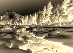 Sepia + Negatyw