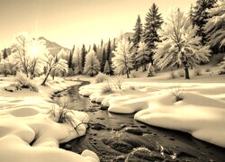 Szary + Sepia