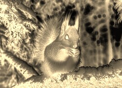 Sepia + Negatyw