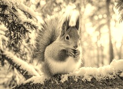Sepia