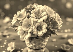 Szary + Sepia