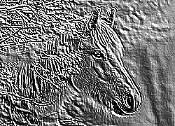 Skamielina