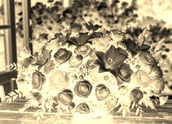 Sepia + Negatyw