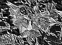 Skamielina