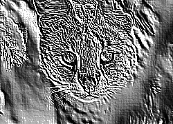 Skamielina