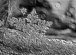 Skamielina