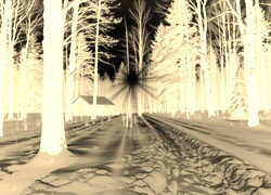 Sepia + Negatyw