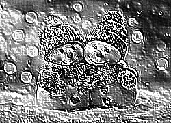 Skamielina