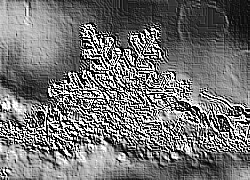 Skamielina