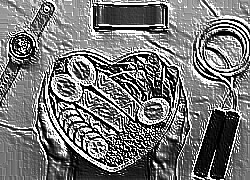 Skamielina