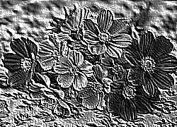 Skamielina