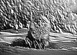 Skamielina