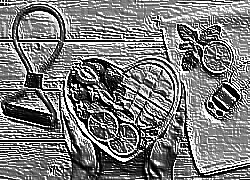 Skamielina