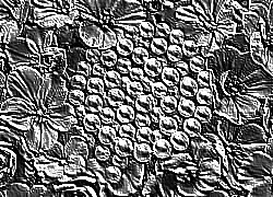 Skamielina