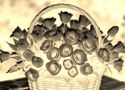 Sepia + Negatyw