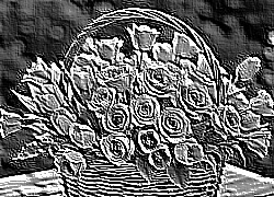Skamielina