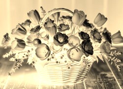Sepia + Negatyw