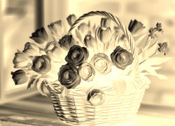 Sepia + Negatyw