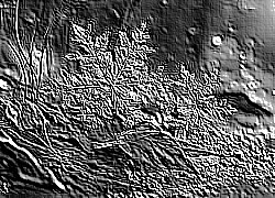 Skamielina
