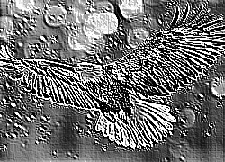 Skamielina