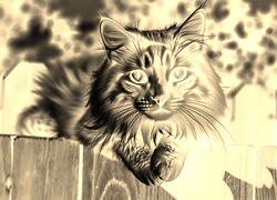 Sepia + Negatyw