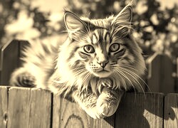 Sepia