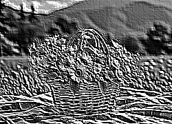 Skamielina