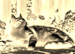 Sepia + Negatyw