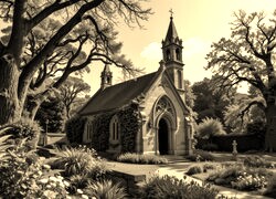 Szary + Sepia