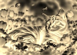 Sepia + Negatyw