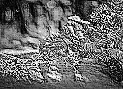 Skamielina