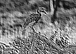Skamielina