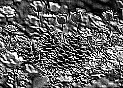 Skamielina
