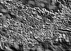 Skamielina