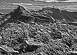 Skamielina