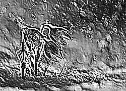 Skamielina