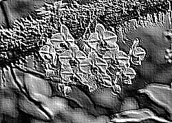 Skamielina