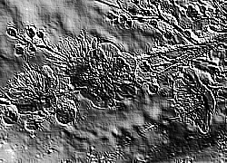 Skamielina