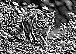 Skamielina