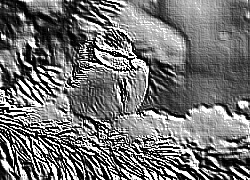 Skamielina