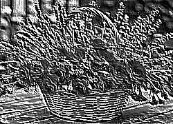 Skamielina