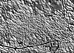 Skamielina