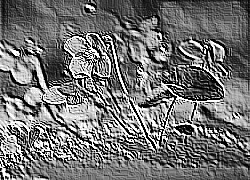 Skamielina