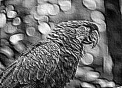 Skamielina