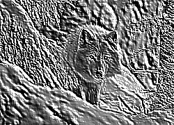 Skamielina