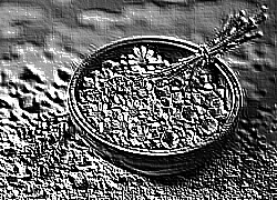 Skamielina