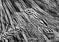 Skamielina