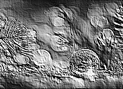Skamielina