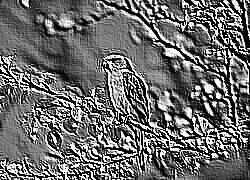 Skamielina